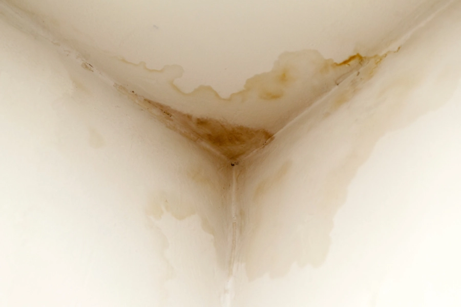 Signs You Need Professional Water Damage Restoration Services Silver Spring, MD Signs You Need Professional Water Damage Restoration Services Silver Spring, MD