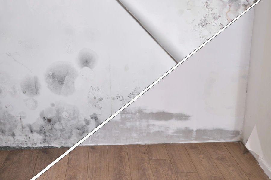 Why Mold Remediation Is Essential for Your Health and Safety Silver Spring, MD